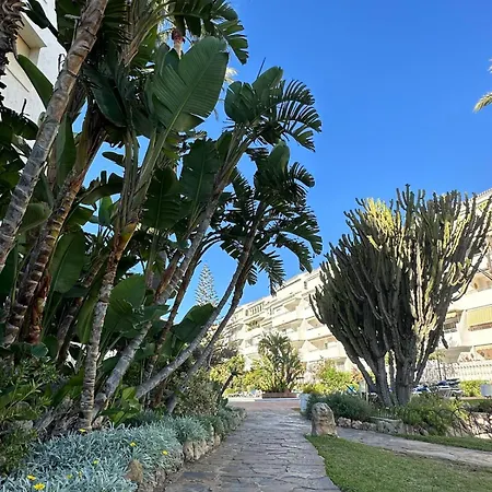 Apartment Playa Real *